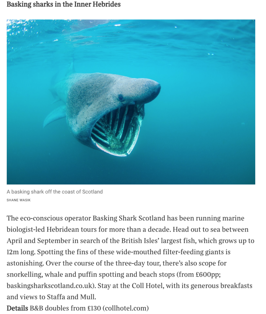 Times travel - basking sharks of the inner hebrides