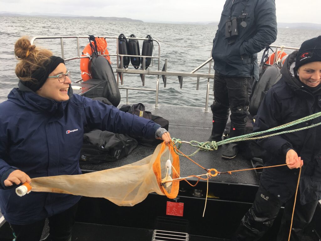 deploying a plankton net to sample near feeding basking sharks
