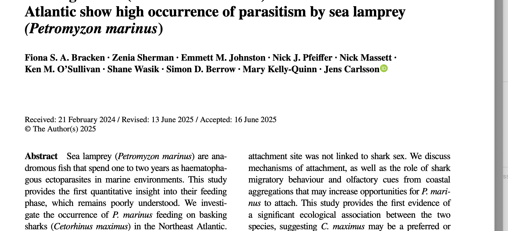 basking shark & lamprey paper